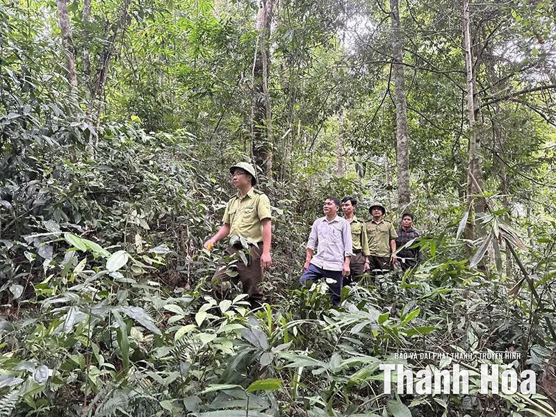 Hạt Kiểm lâm Bá Thước tuyên truyền nâng cao hiệu quả bảo vệ rừng