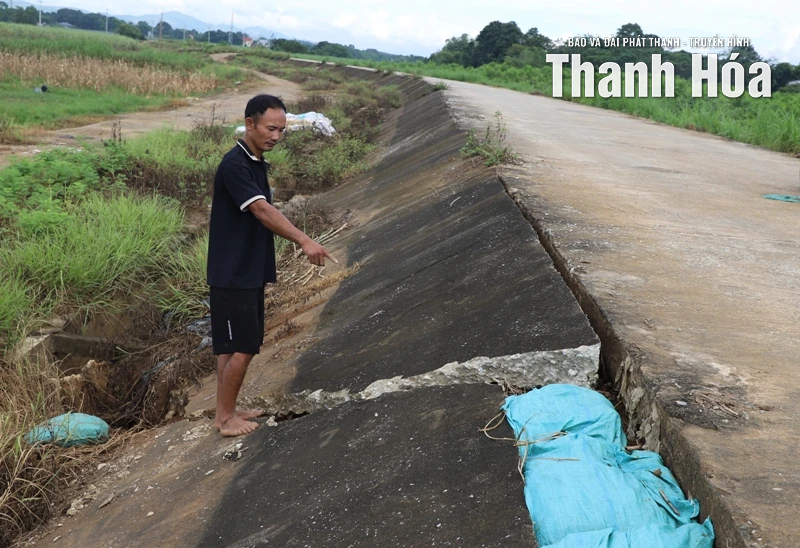 Khẩn trương khắc phục sự cố sạt lở bờ sông Bưởi và đê bao Thạch Định