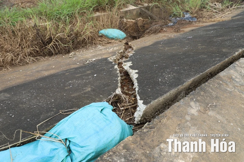 Khẩn trương khắc phục sự cố sạt lở bờ sông Bưởi và đê bao Thạch Định