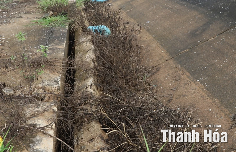Khẩn trương khắc phục sự cố sạt lở bờ sông Bưởi và đê bao Thạch Định
