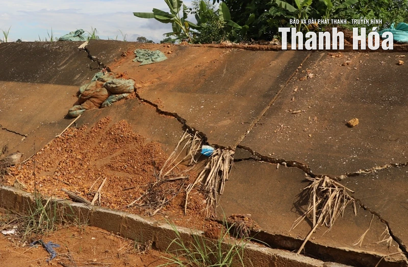 Khẩn trương khắc phục sự cố sạt lở bờ sông Bưởi và đê bao Thạch Định