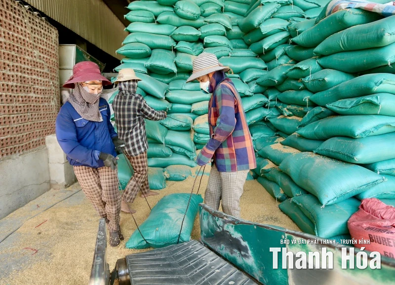 Nông dân Việt Nam sở hữu Nhà máy xay xát lúa gạo 40 tỷ