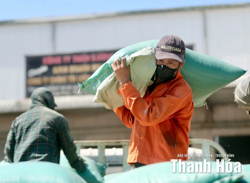 Nông dân Việt Nam sở hữu Nhà máy xay xát lúa gạo 40 tỷ