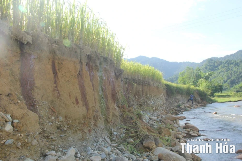 Sạt lở nghiêm trọng, bờ suối tiến sát nhà dân xã Thanh Quân