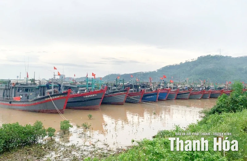 Bảo đảm an toàn cho tàu cá tại nơi tránh trú bão Bualoi