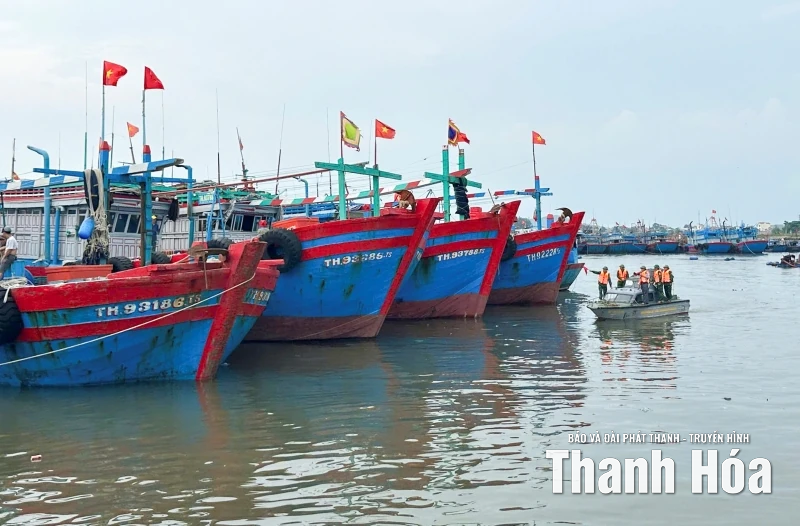 Thanh Hóa: 100% chủ tàu thuyền nắm được thông tin và hướng đi của bão RAGASA