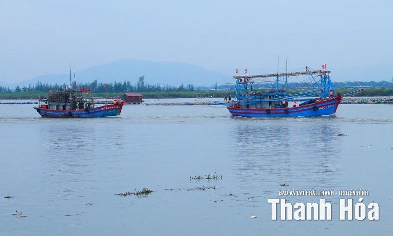 Thanh Hóa: 100% chủ tàu thuyền nắm được thông tin và hướng đi của bão RAGASA