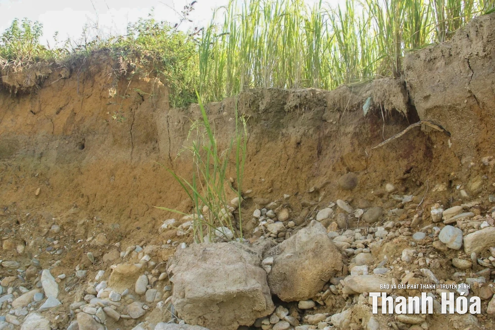 Sạt lở nghiêm trọng, bờ suối tiến sát nhà dân xã Thanh Quân