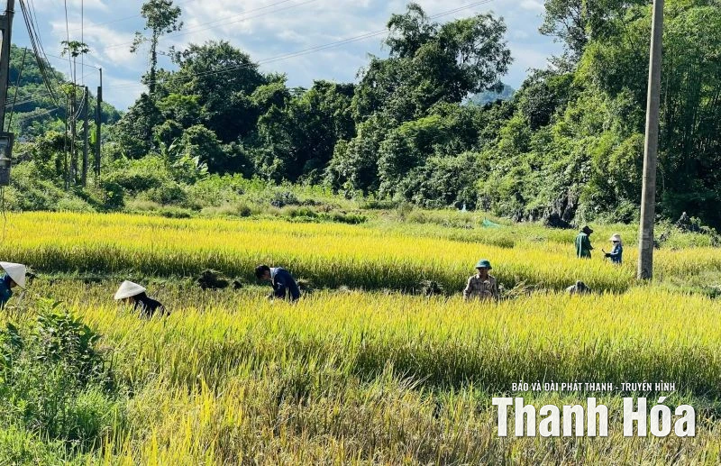 Dồn lực ứng phó bão