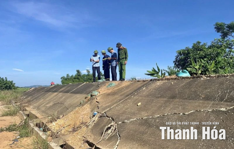 Dồn lực ứng phó bão