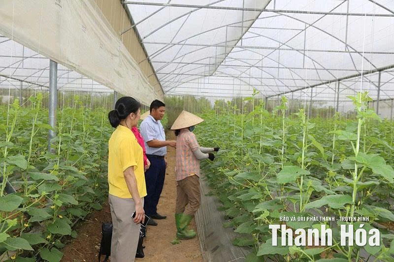 Nâng cao chất lượng xây dựng, ban hành nghị quyết