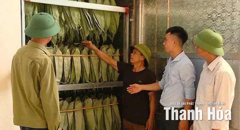 Vân Du khai thác lợi thế, xây dựng vùng nông nghiệp công nghệ cao