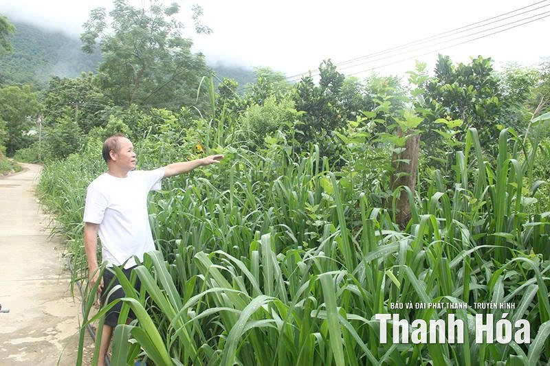 “Ngọn cờ” bản Thái