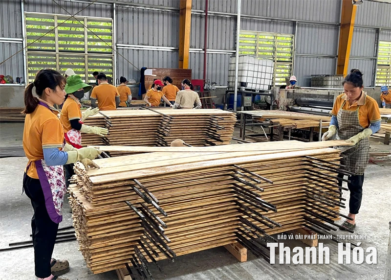 Phát triển nguồn nguyên liệu tre luồng