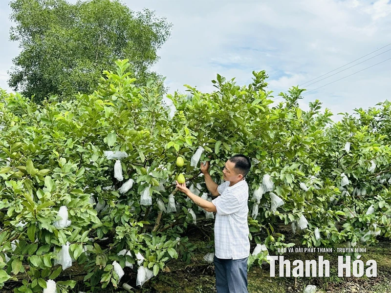 Diện mạo mới ở Khắc Dũng