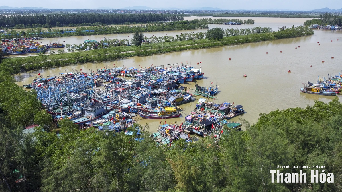 Chính quyền và người dân Thanh Hóa chủ động, quyết liệt phòng chống bão số 10