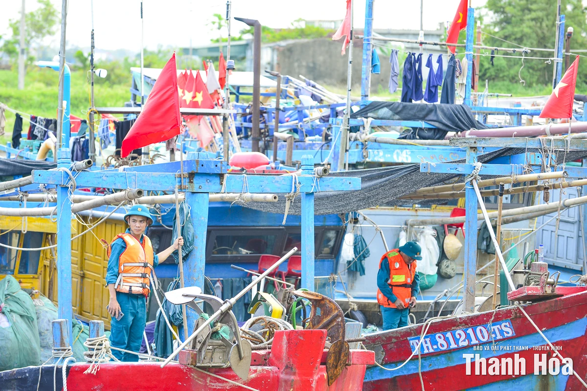Chính quyền và người dân Thanh Hóa chủ động, quyết liệt phòng chống bão số 10