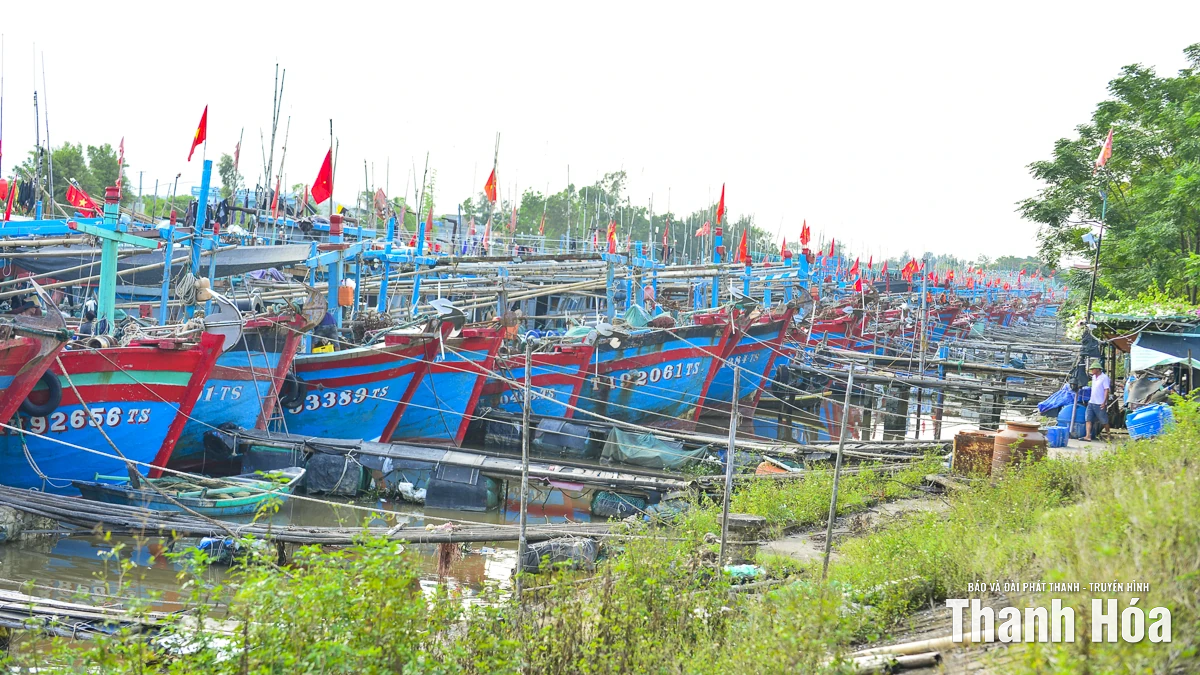 Chính quyền và người dân Thanh Hóa chủ động, quyết liệt phòng chống bão số 10