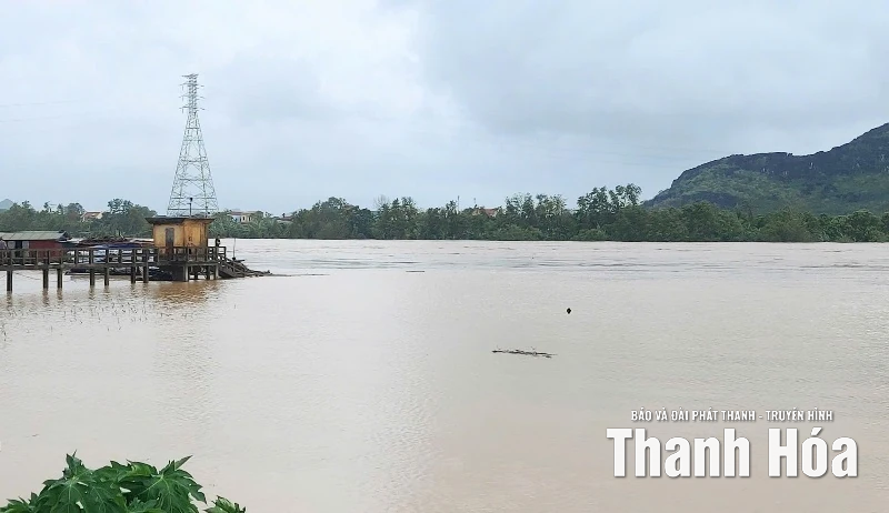 Lũ trên sông Mã lên cao, xã Yên Trường di dời các hộ dân ở ngoại đê