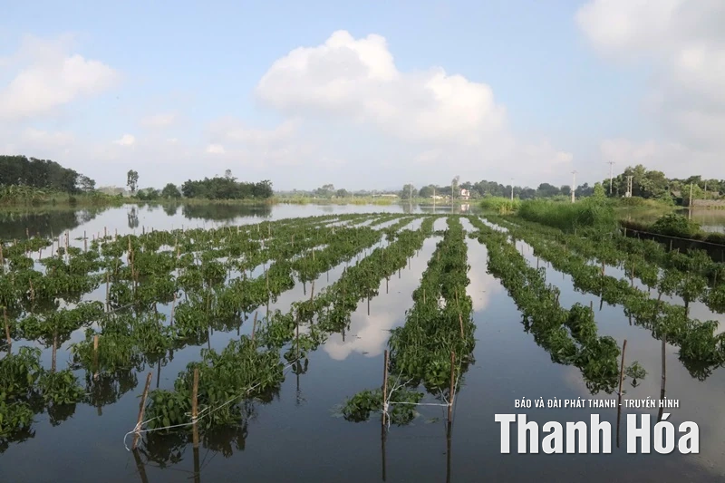 Xã Yên Phú: tập trung khắc phục hậu quả sau mưa bão số 10