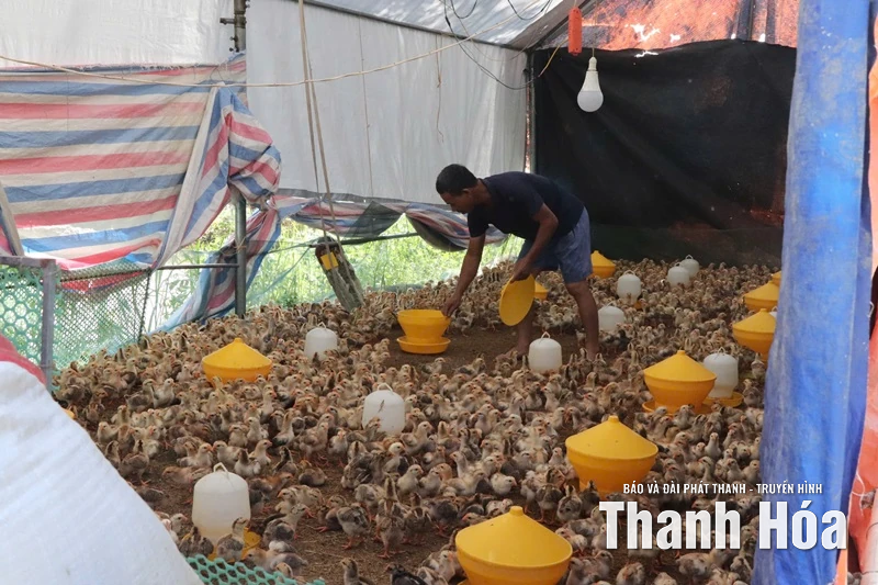 Xã Yên Phú: tập trung khắc phục hậu quả sau mưa bão số 10