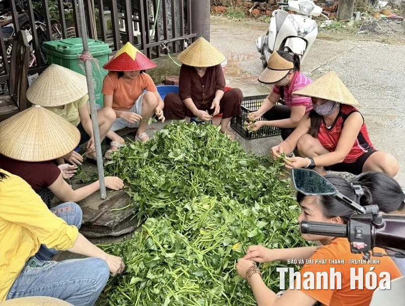 Những suất cơm đong đầy yêu thương gửi đến bà con vùng lũ