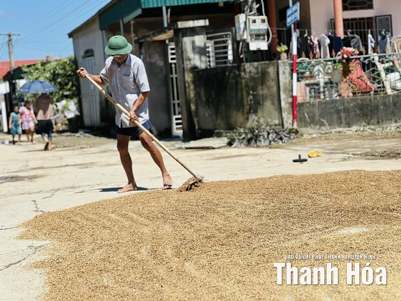 Cùng nhau tái thiết cuộc sống sau lũ