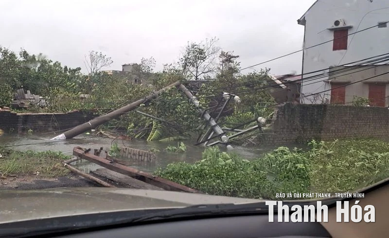 Bão số 10 khiến gần 338.000 khách hàng sử dụng điện bị ảnh hưởng