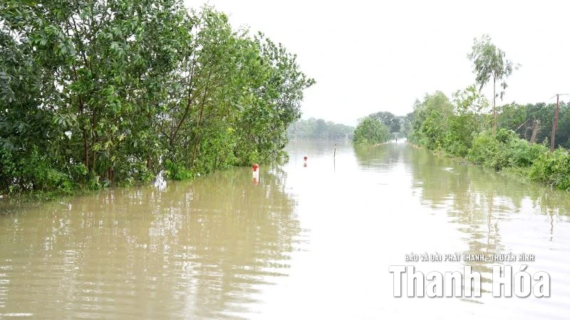 Quốc lộ 45 đoạn qua xã Tây Đô và Quốc lộ 217 đoạn qua xã Vĩnh Lộc ngập sâu, cấm người và phương tiện qua lại