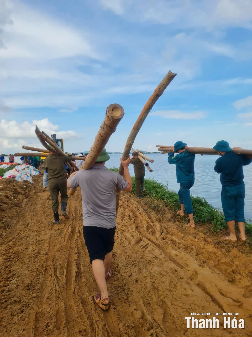 Tiếp tục gia cố, bảo vệ vững chắc tuyến đê hữu sông Thị Long