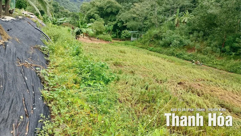 Xã Sơn Điện khắc phục hậu quả bão số 10