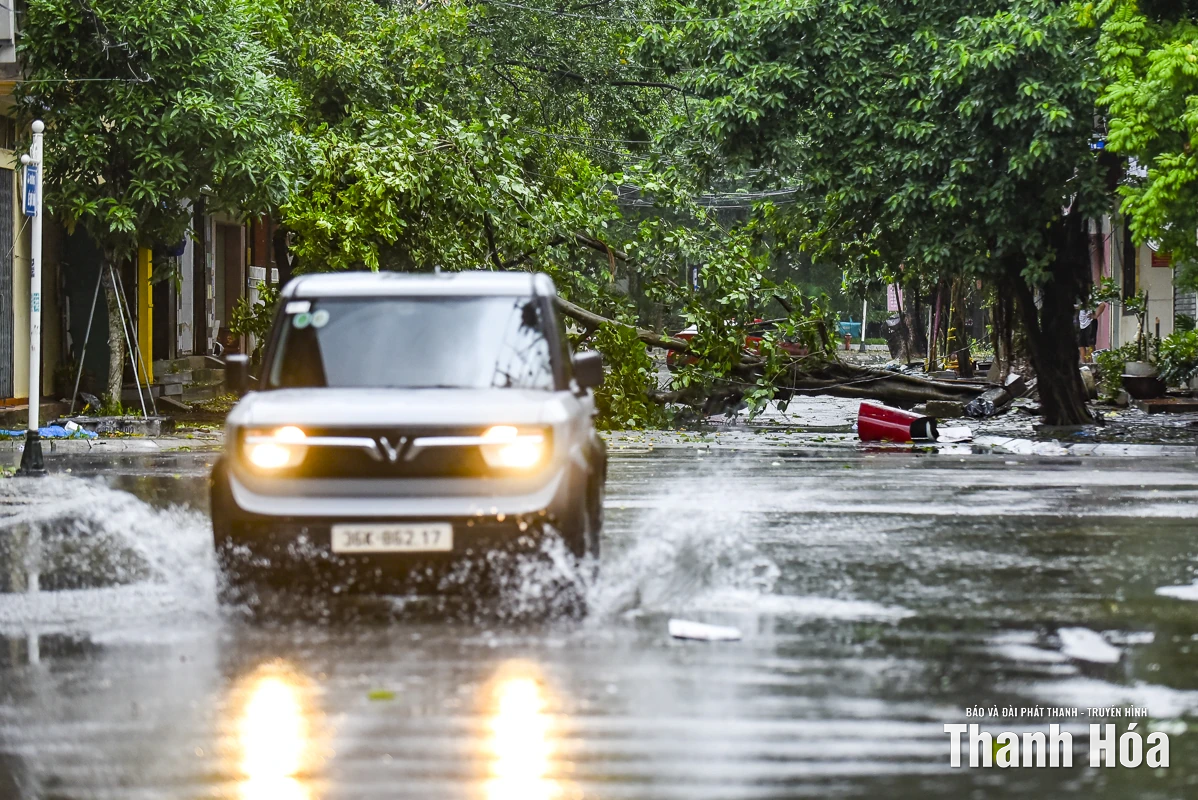 Nhiều phố phường của Thanh Hóa cây đổ chắn đường, nước ngập cục bộ do ảnh hưởng của mưa bão