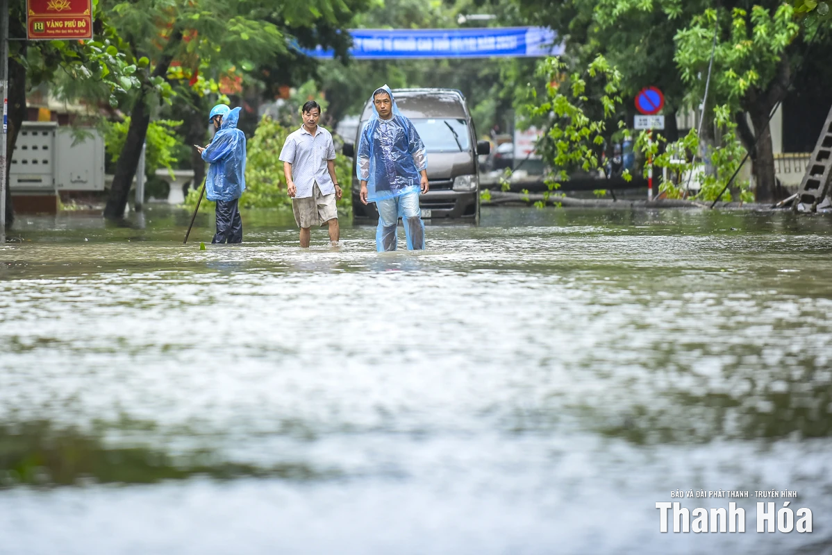 Nhiều phố phường của Thanh Hóa cây đổ chắn đường, nước ngập cục bộ do ảnh hưởng của mưa bão