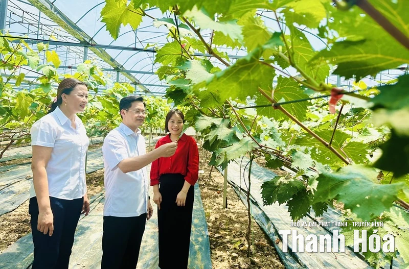 Thanh Hóa: 5 năm một hành trình khát vọng (Bài 1) - Tạo thế và lực mới cho phát triển