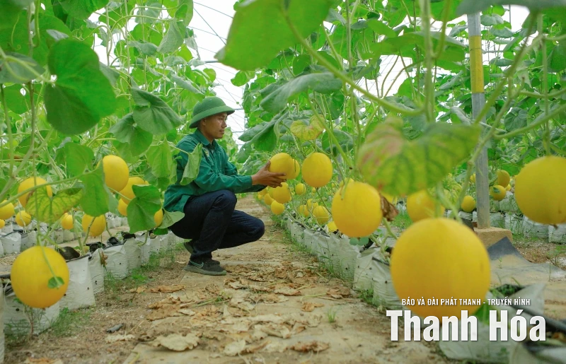 Thanh Hóa: 5 năm một hành trình khát vọng (Bài cuối) - Ủ than ấm để cơi lửa hồng