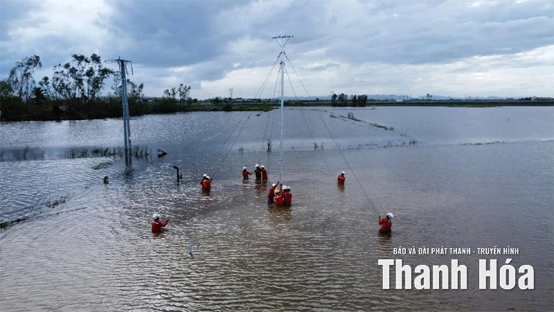 Hoàn thành khôi phục lưới điện, ổn định sản xuất và đời sống sau bão