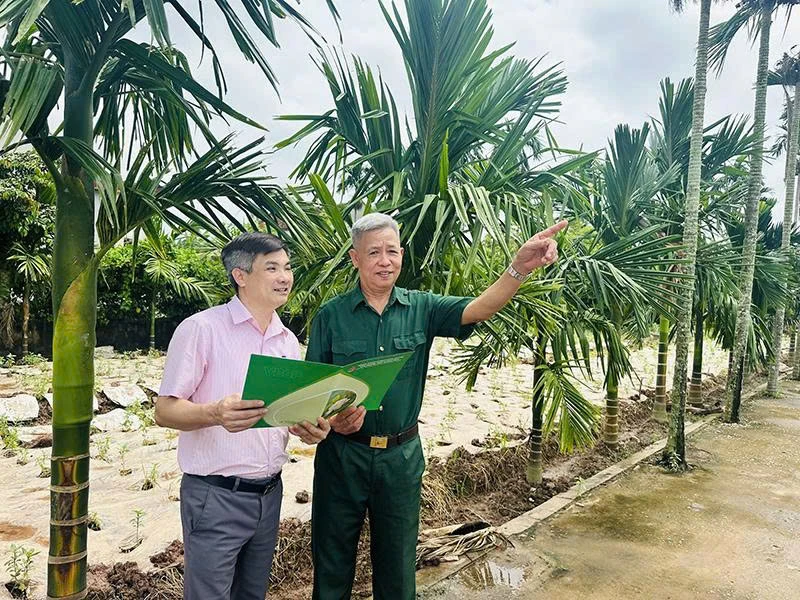 Lan tỏa tinh thần tự lực, vươn lên làm giàu chính đáng