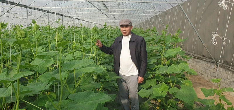 Nhà khoa học của nhà nông