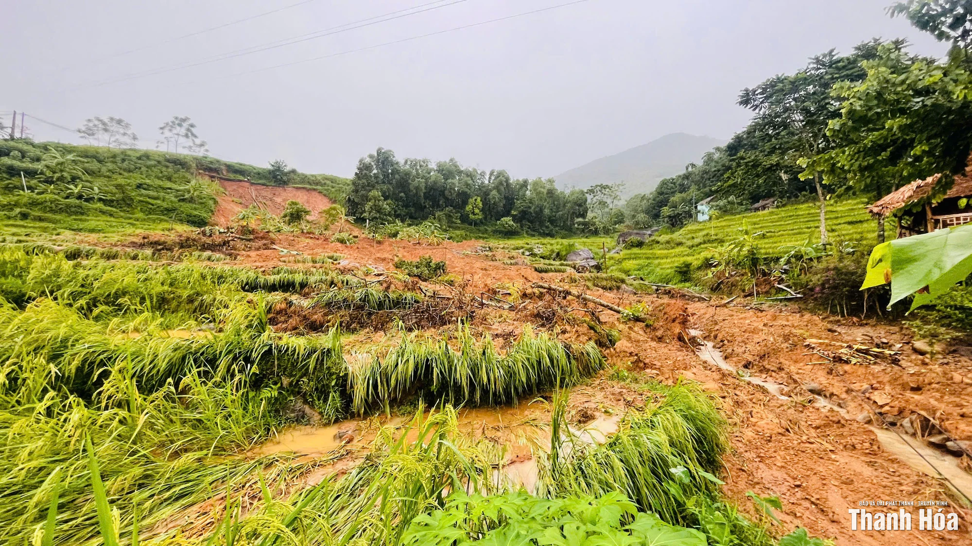 Sạt lở ở Khu du lịch sinh thái cộng đồng Pù Luông, cảnh quan du lịch bị ảnh hưởng