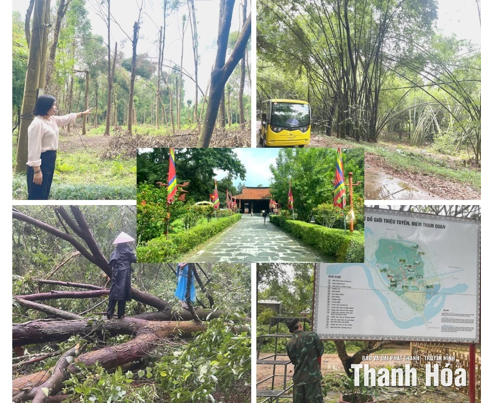 Khu di tích Lam Kinh khắc phục hậu quả mưa bão để đón khách trở lại