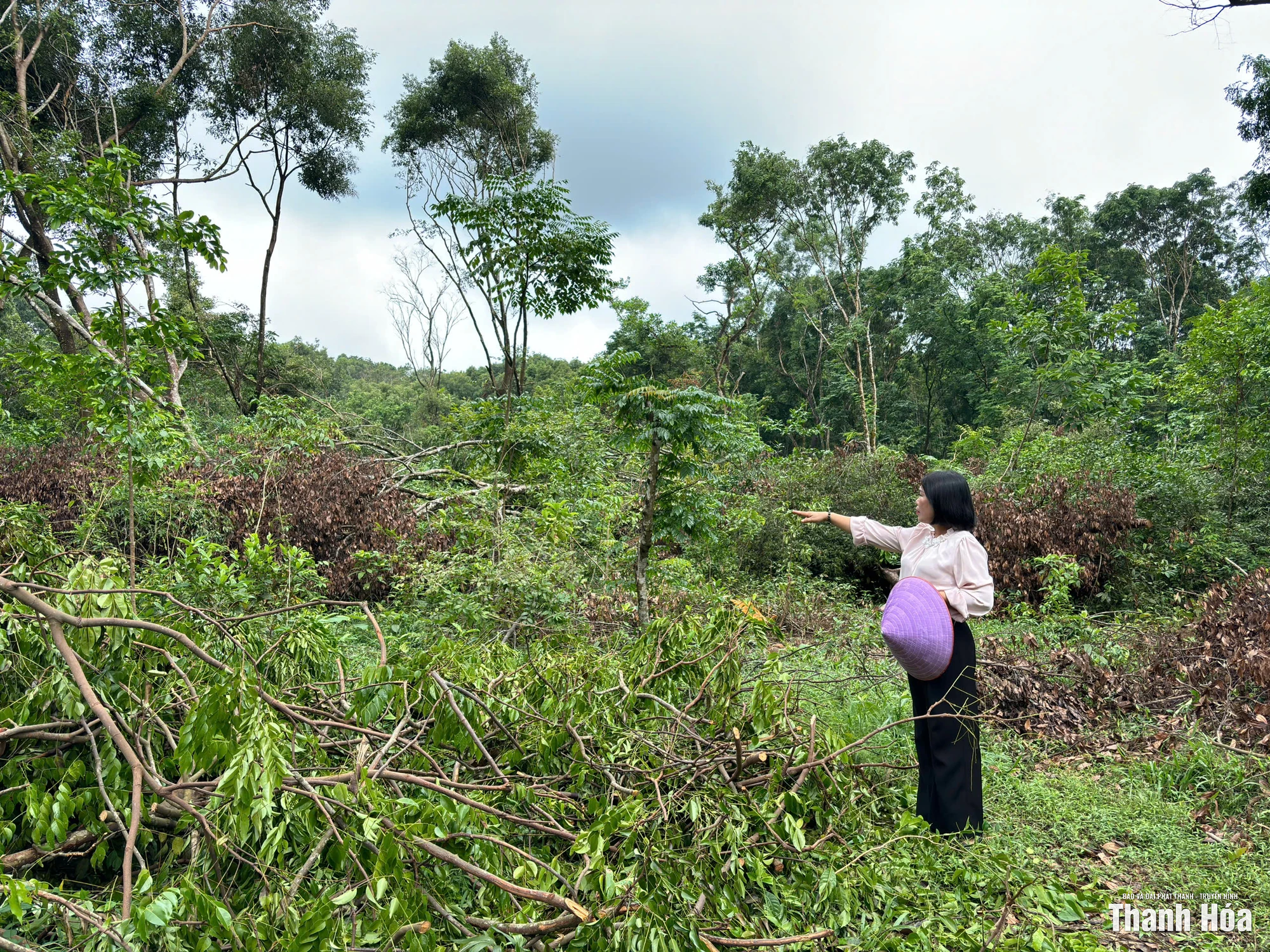 Khu di tích Lam Kinh khắc phục hậu quả mưa bão để đón khách trở lại
