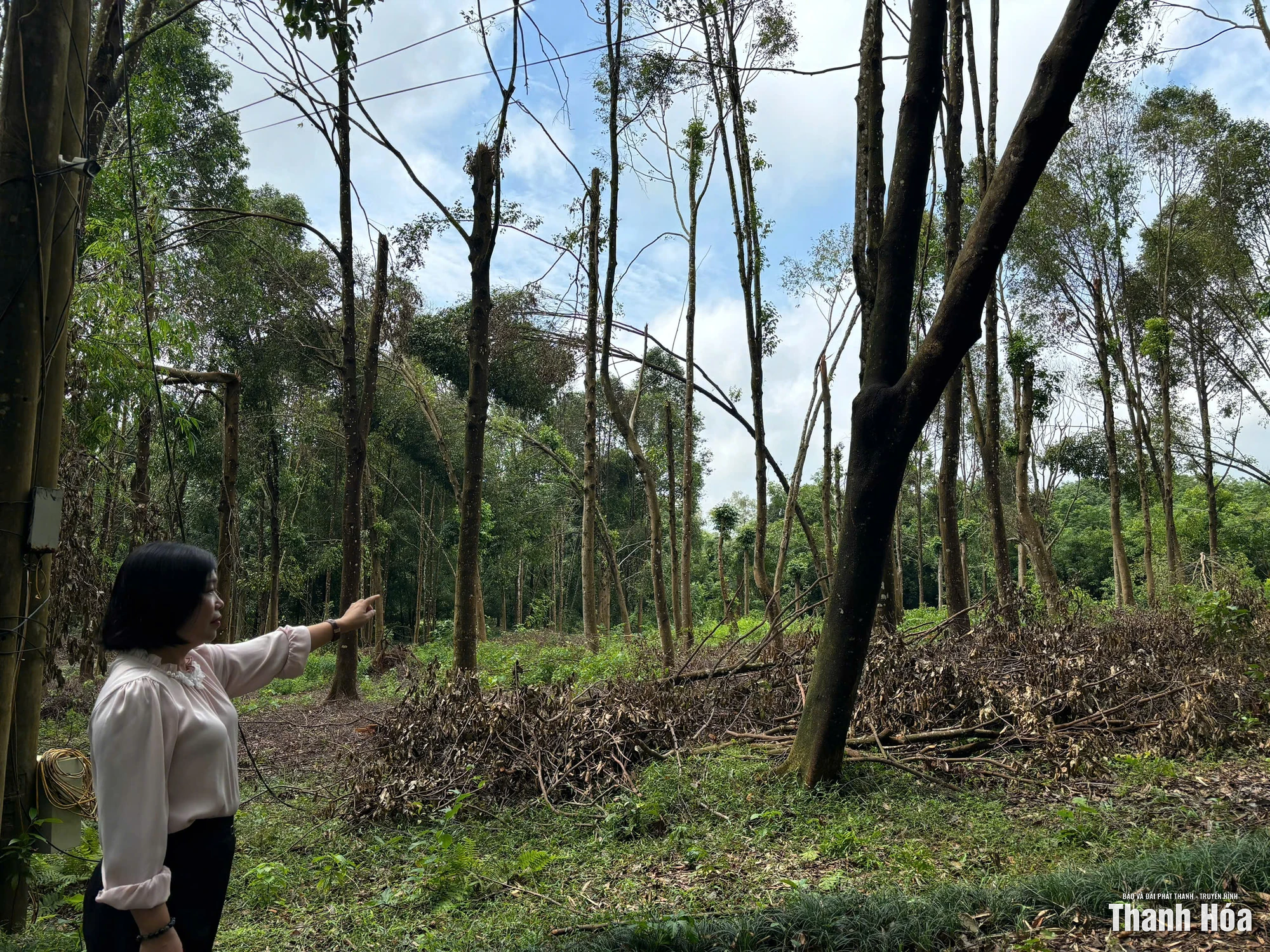 Khu di tích Lam Kinh khắc phục hậu quả mưa bão để đón khách trở lại