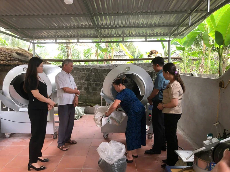 Cây chè Như Xuân, kỳ vọng mới trong nông nghiệp xanh