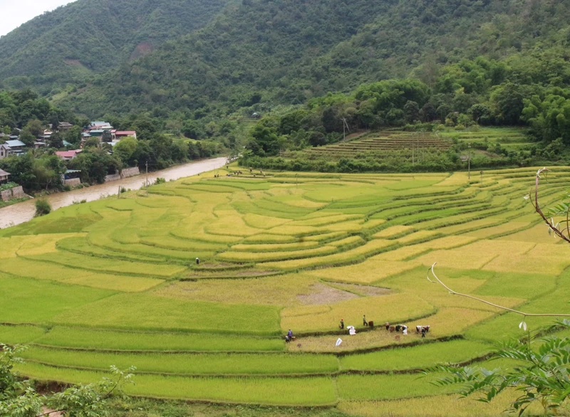 “Hộ chiếu” giúp đặc sản vùng biên vươn xa