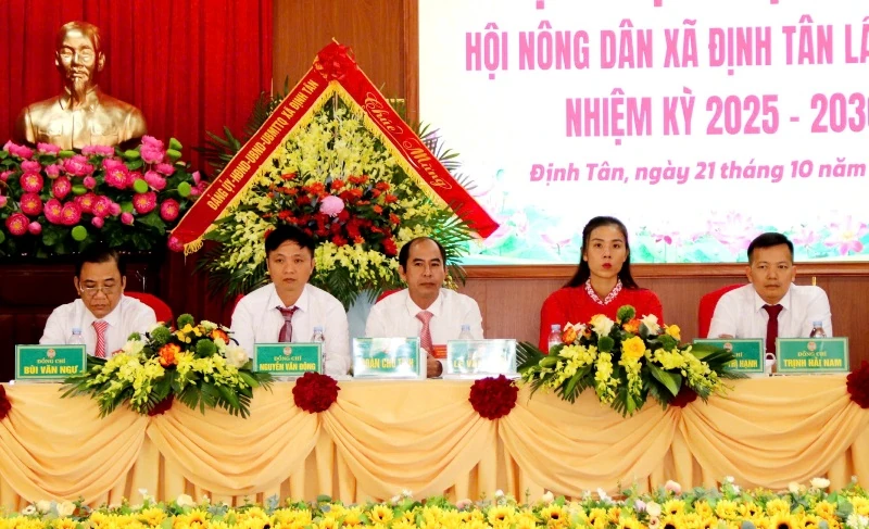 Phát huy truyền thống, sức mạnh của giai cấp nông dân, xây dựng xã Định Tân đạt kiểu mẫu