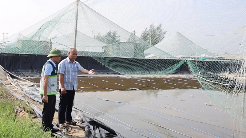 Ươm “chồi xanh” nơi “rốn lũ”