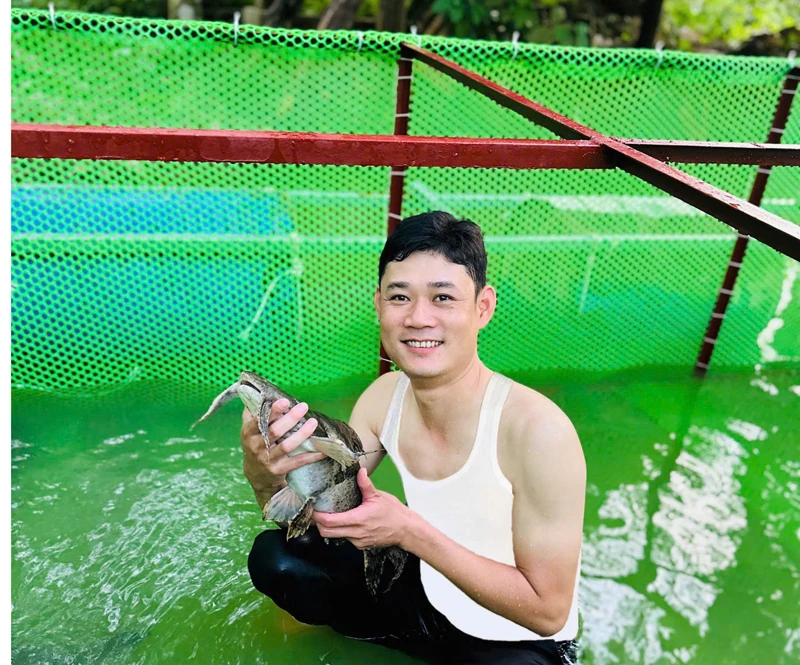 Làm giàu từ cá chiên