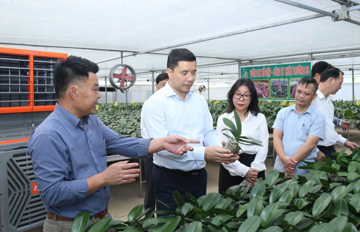 Phó Bí thư Thường trực Tỉnh ủy Nguyễn Hồng Phong thăm, làm việc tại phường Đông Tiến