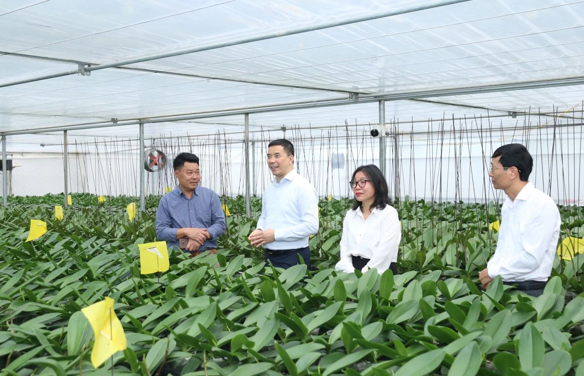 Phó Bí thư Thường trực Tỉnh ủy Nguyễn Hồng Phong thăm, làm việc tại phường Đông Tiến