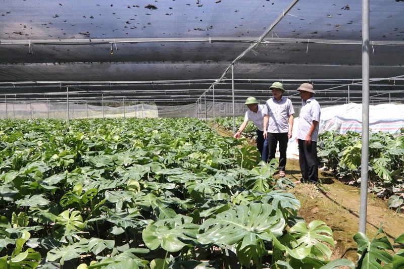 Định Tân xác định rõ tiềm năng để phát triển